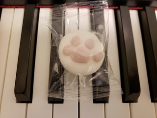 BLOG20190227.jpg