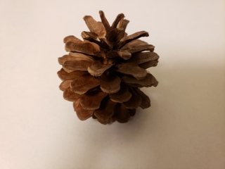 BLOG20191110.jpg