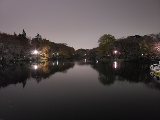 BLOG20191125.jpg