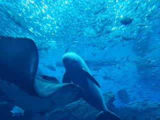 BLOG20200309.jpg