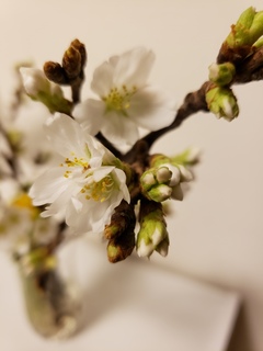 BLOG20200321.jpg