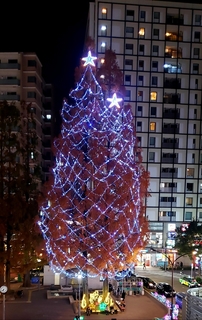 BLOG20201210.jpg