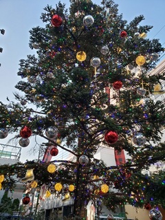 BLOG20201213.jpg