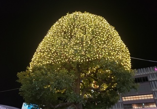 BLOG20201219.jpg