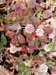 BLOG20210112.jpg