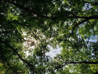 BLOG20210617.jpg