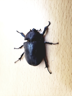 BLOG20210810.jpg