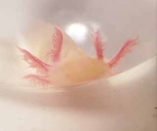 BLOG20211006.jpg
