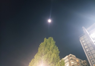 BLOG20221111.jpg