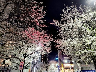 BLOG20230407.jpg