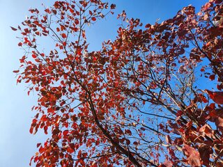 BLOG20231103.jpg