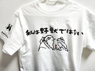 BLOG20231115A.jpg