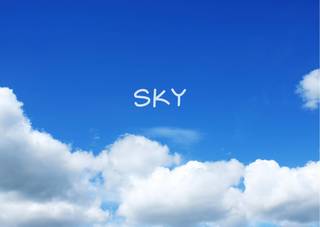 SKY LOGO.jpg